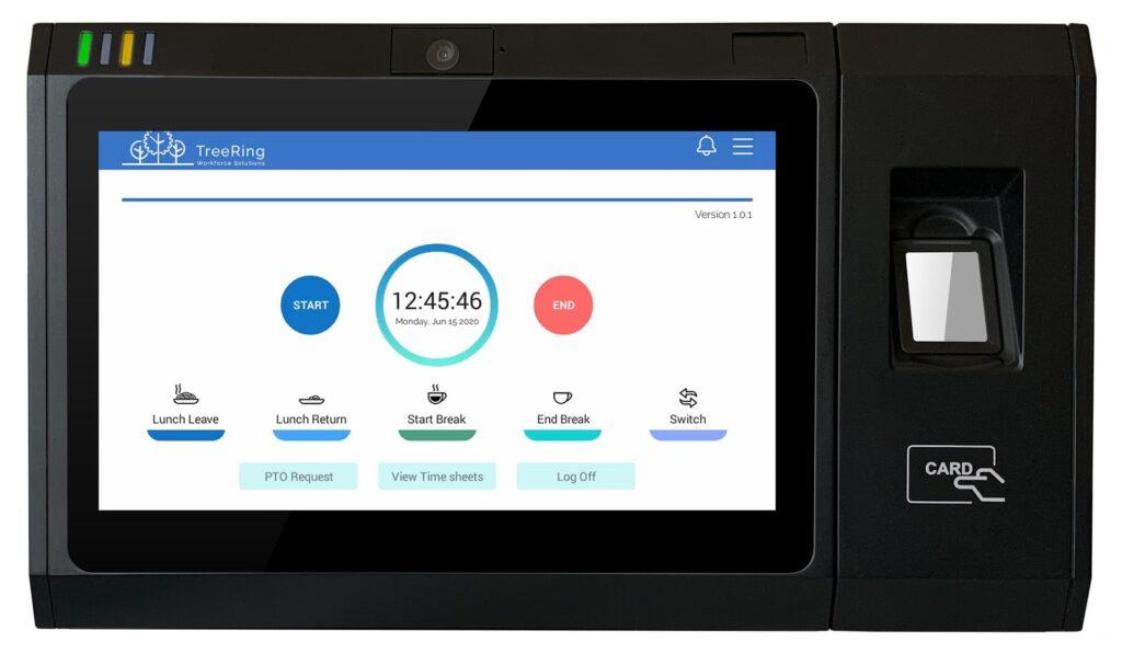 Education 02 TreeRing