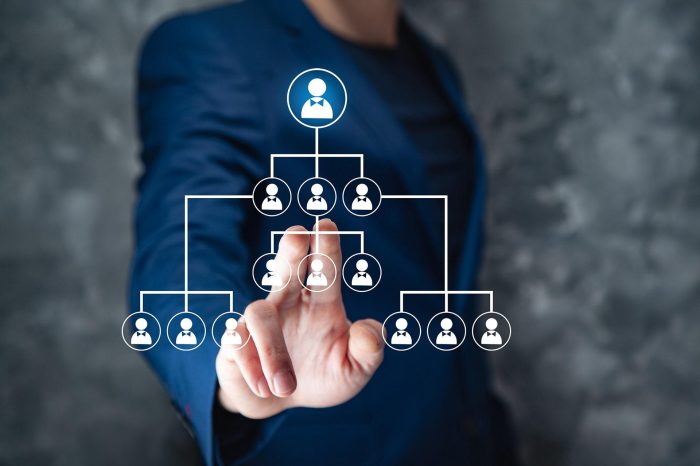 Human Capital Management 01 TreeRing-min Human Capital Management 01 TreeRing-min