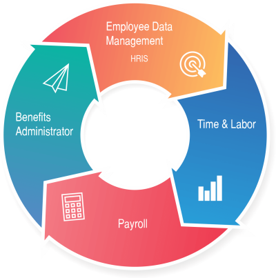 Infographic TreeRing Workforce Solutions Infographic - All in one system | TreeRing Workforce Solutions